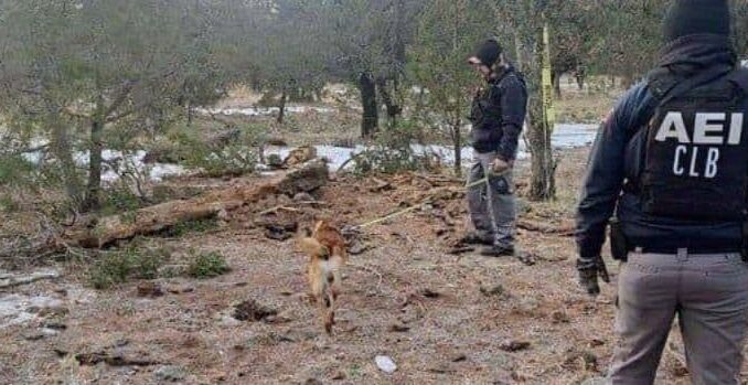 Localizan más cuerpos y osamentas en fosas clandestinas en Casas Grandes