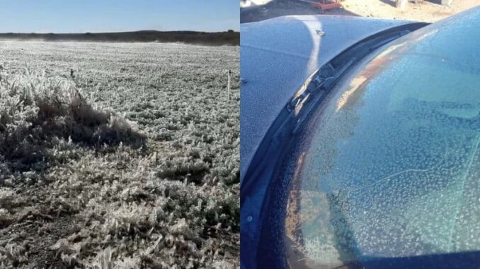 Registran 37 municipios del estado temperaturas bajo cero este martes