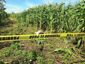 Asesinan al periodista Alejandro Gallegos en Tabasco