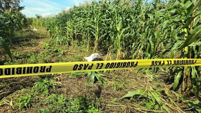 Asesinan al periodista Alejandro Gallegos en Tabasco