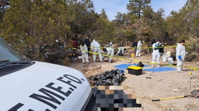 Suman 56 cadáveres en fosas clandestinas de Casas Grandes
