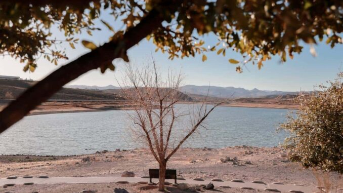 Analizan alcalde y fideicomiso del Parque Metropolitano Tres Presas plan de trabajo 2025