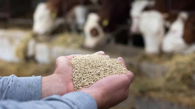 Urgente que se liberen los recursos para lecheros de la Entidad: Congreso de Chihuahua