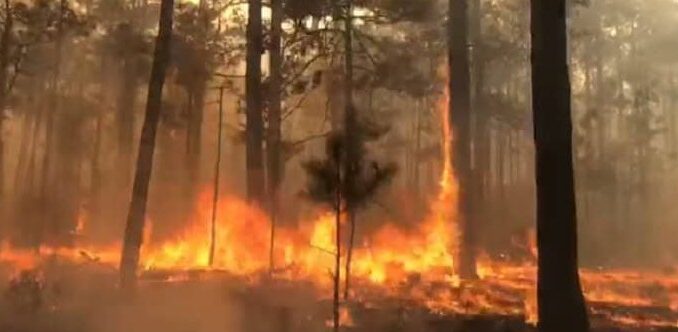 Se registran dos incendios forestales activos en Guachochi y Balleza