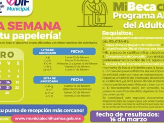 Que no se te pase, este 21 de febrero cierra recepción de documentos del PAAM: Municipio
