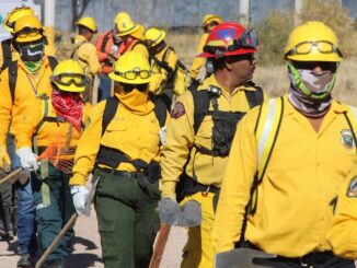 Inicia capacitación del Programa Manejo del Fuego 2025 dirigida a brigadistas y voluntarios