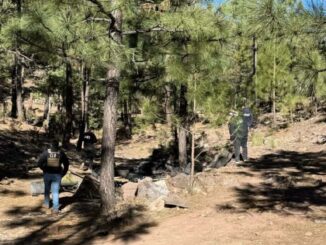 Agota FGE inspección en 14 puntos de interés en la zona de “El Willy” sin más hallazgos de interés