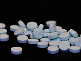 Sheinbaum pide a EE.UU. y Canadá analizar juntos el flujo de fentanilo