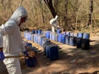 Aseguran en un día 12 narcolaboratorios en Sinaloa