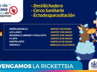 Conoce las colonias que visitará el programa “Patio de mi Casa” en el mes de marzo