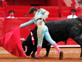 Presenta Partido Verde iniciativa para regular Corridas de Toros sin sangre