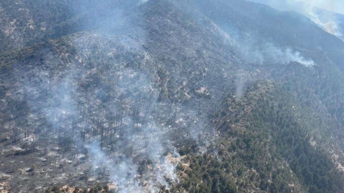 Trabajan 211 combatientes para abatir los 11 incendios activos en la entidad: SDR