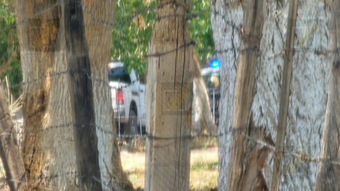 Ejecutan a joven en Rancho de Enmedio; lo encuentra su padre