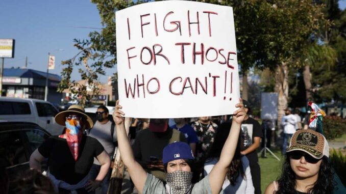 “Los migrantes están solos”: Leopoldo Gómez sobre redadas en EE.UU.