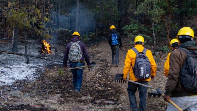 Liquidan brigadistas tres incendios forestales de ayer a hoy