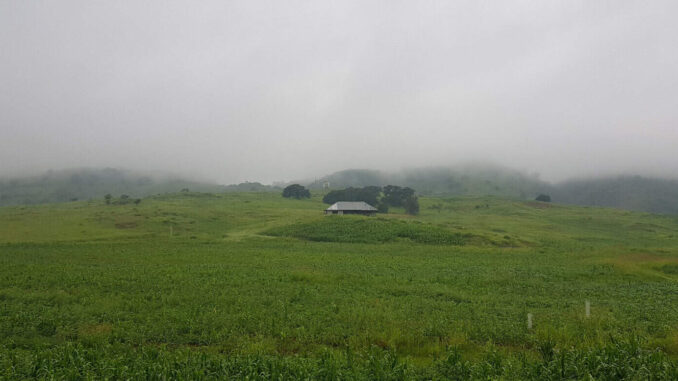 Pronostican altas temperaturas, lluvias y vientos a partir de este viernes