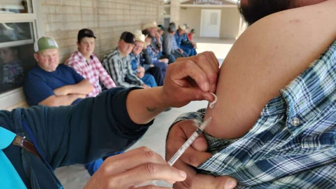 Anuncia Secretaría de Salud Macrocentros de vacunación este fin de semana