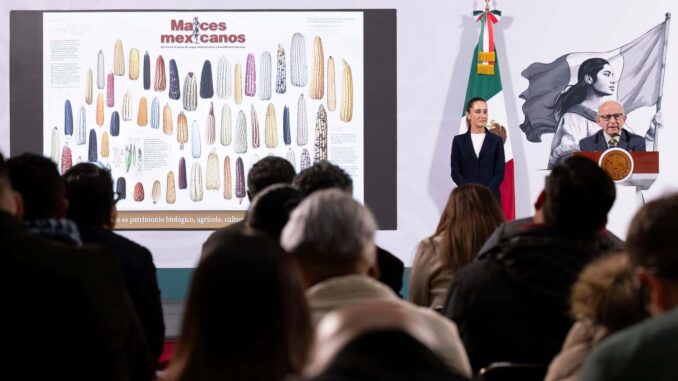 Conferencia matutina Claudia Sheinbaum 6 de junio