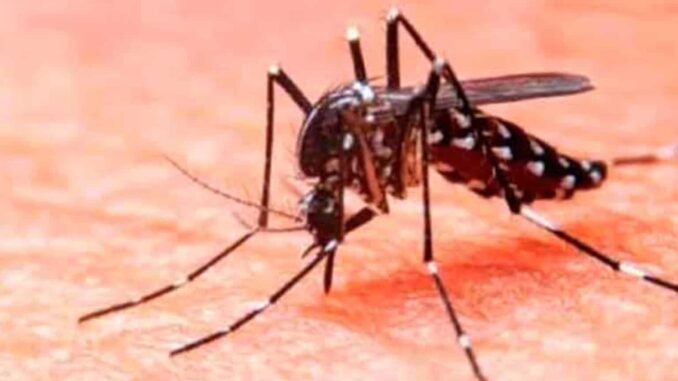 Salud presenta Plan Nacional contra Dengue; van 18 muertes en lo que va de 2025