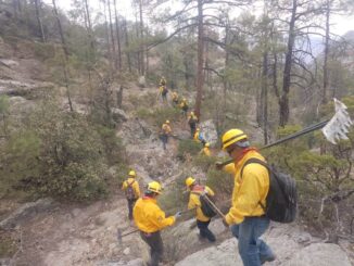 Permanecen activos dos incendios en el municipio de Madera