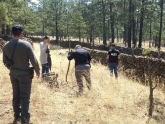 Realiza FGE acciones de búsqueda de menor ausente en Guachochi