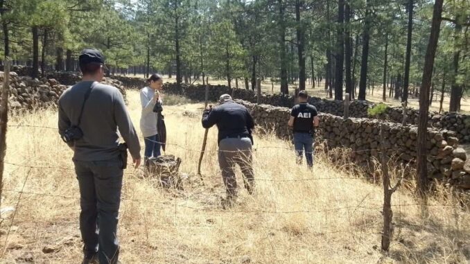 Realiza FGE acciones de búsqueda de menor ausente en Guachochi