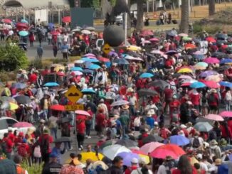 Maestros de la CNTE regresan al zócalo tras colapsar al AICM