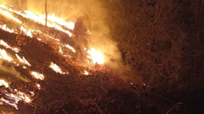 Brigadistas han apagado 388 incendios en lo que va del año