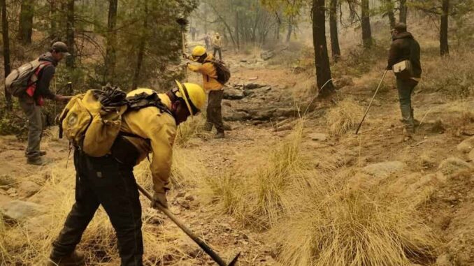 Desarrollo Rural apoya con maquinaria y personal para combatir incendio forestal en Madera