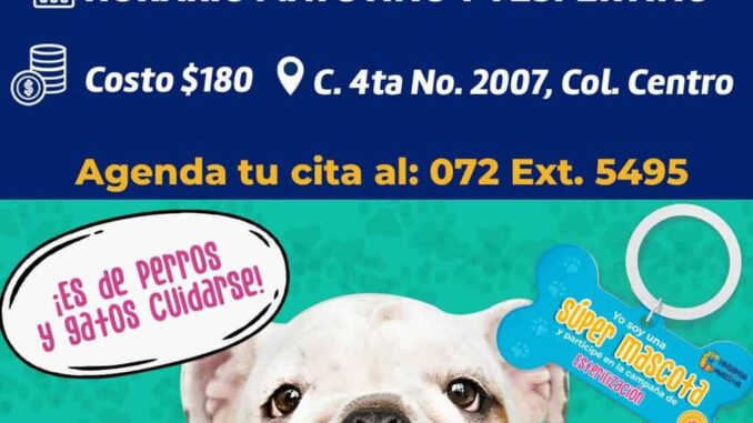 Ofrece IMPAS servicio de esterilización a mascotas en sus instalaciones ubicadas en la calle Cuarta
