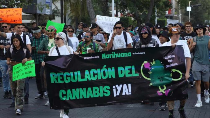 Activistas exigen regulación para consumo y uso recreativo de la mariguana en México