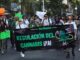 Activistas exigen regulación para consumo y uso recreativo de la mariguana en México