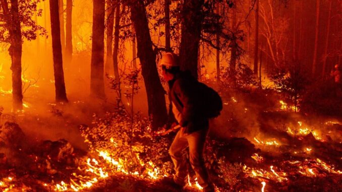 Registra SDR 289 incendios forestales en lo que va de 2025