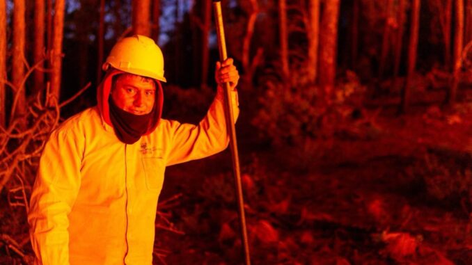 Coordina Secretaría de Desarrollo Rural a más de 200 combatientes para atención de incendios forestales