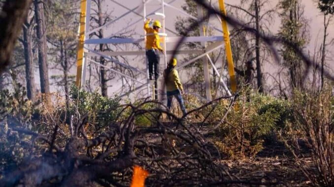 Registran 9 incendios forestales activos en el estado