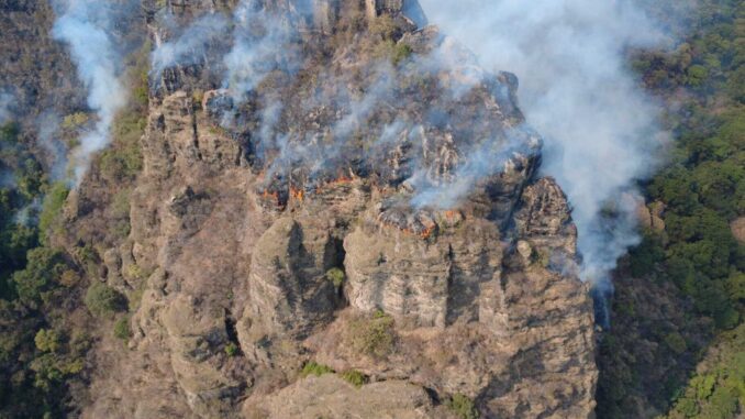 Incendios en Complejo Tepoztlán consumen casi 800 hectáreas en Morelos y CDMX