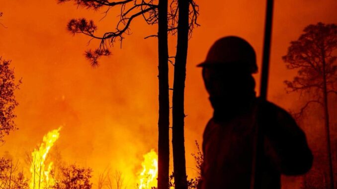 Despliegan a 224 combatientes para controlar 15 incendios forestales activos en la entidad