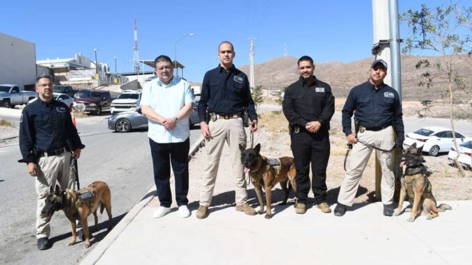 Retira Fiscal insignias de servicio a seis caninos tras ocho años de servicio