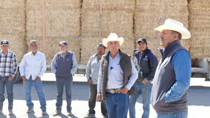 Entrega Diputado Arturo Zubía 300 pacas de rastrojo a productores ganaderos en Jiménez
