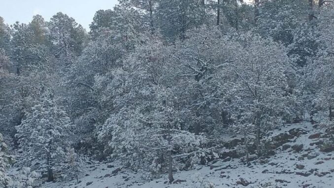 Se mantiene pronóstico de lluvias y nevadas para el fin de semana