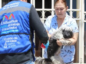 Invita IMPAS a conocer las colonias que visitará el programa “Patio de mi casa” en el mes de abril