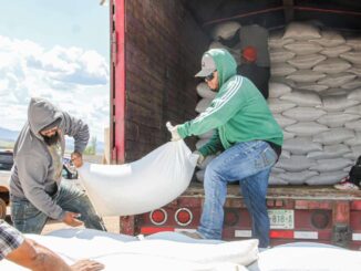 Arranca entrega de semilla de frijol para siembra