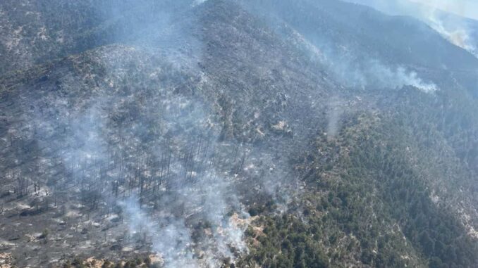 Se unen 77 brigadistas para sofocar 6 incendios activos en el estado