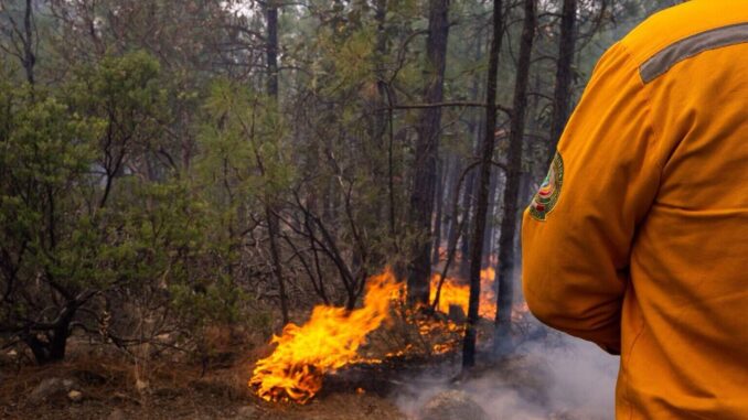 Permanecen activos 7 incendios forestales en la entidad
