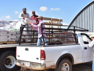 Invita SDR a productores agrícolas a acceder a subsidios para fertilizantes