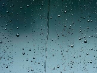 Pronóstico del clima para hoy 4 de julio en México, ¿en dónde esperan lluvias fuertes?