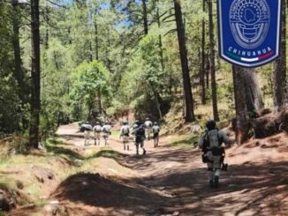 Despliegan mega operativo para la disuasión de los delitos en la región sur del estado