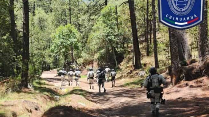 Despliegan mega operativo para la disuasión de los delitos en la región sur del estado