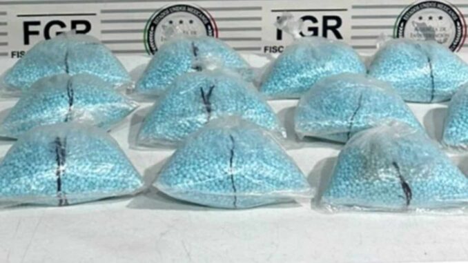 Aseguran 200 mil pastillas de fentanilo tras inspección de un autobús en Sonora