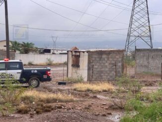 Encuentran a un hombre sin vida en un árbol en la colonia Ampliación Crucero